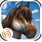 马的世界3D:我的坐骑v1.6