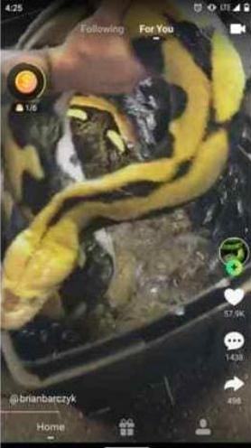 美版快手手机版v1.16截图1