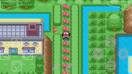 口袋妖怪暗之冰花v1.3.3截图2