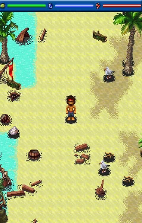 罗宾逊克鲁索卡v1.8截图2