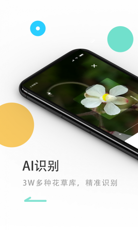 花将v1.12截图2