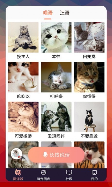 猫语翻译器v1.3.7截图1