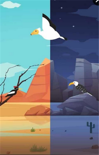 鸟之天堂v1.3.8截图4