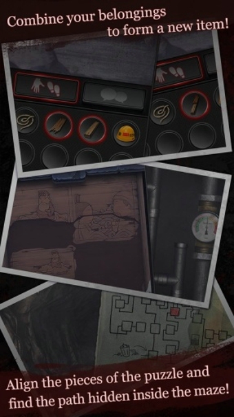 白岛v1.6.1.4截图3