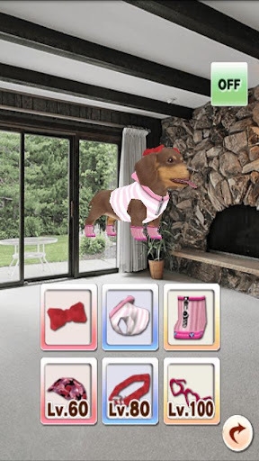 家有小狗v3.12.8截图2