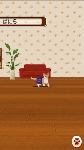 家有小狗v3.12.8截图3