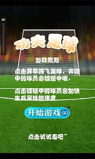 功夫足球v5截图3