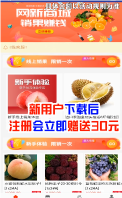 网新商城v9.7截图2