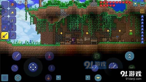 泰拉瑞亚v1.3.5.6截图3