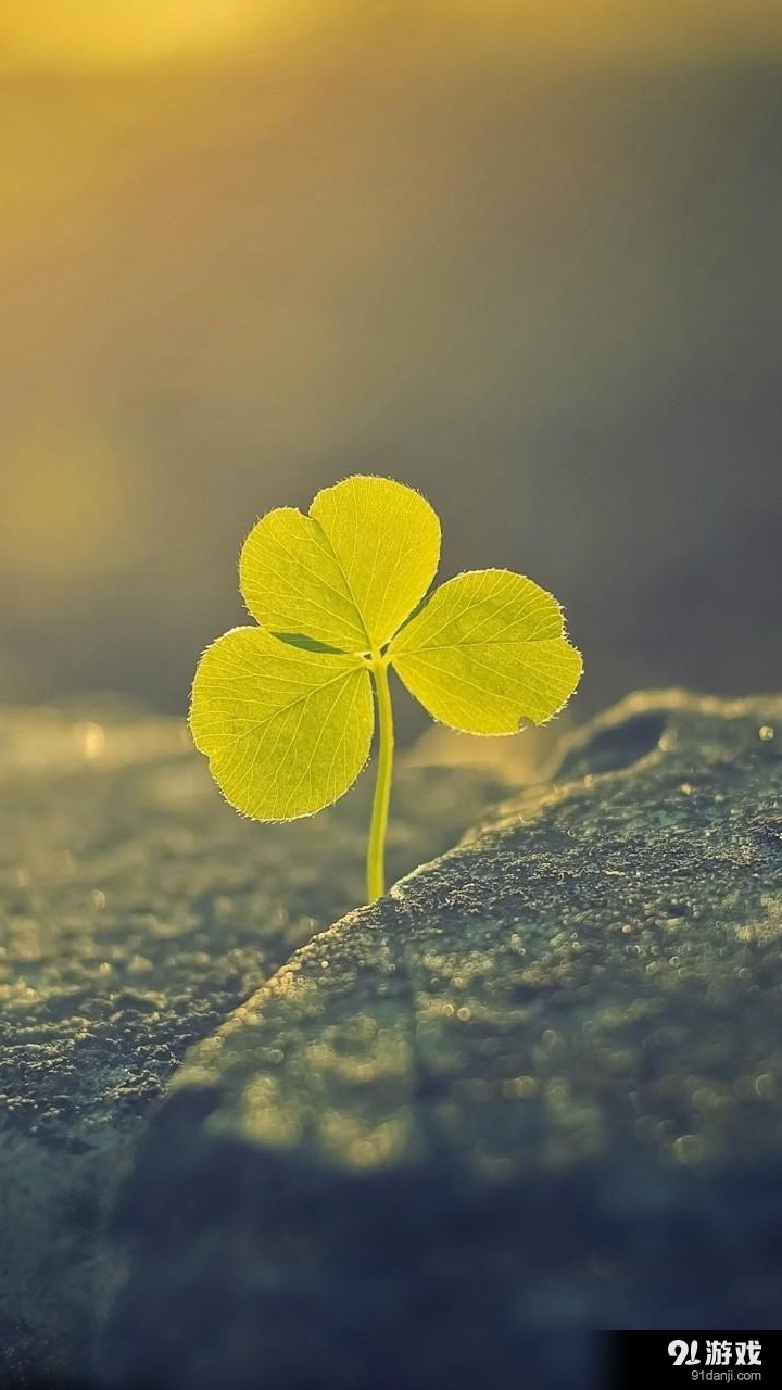 简单定位v1.9截图1