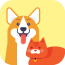 宠物仓v1.3.5