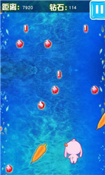 萌兔大冒险v1.8截图2