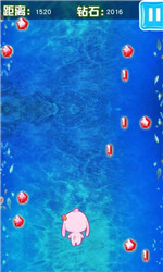 萌兔大冒险v1.8截图4