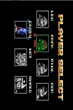 激龟快打v2.9截图3