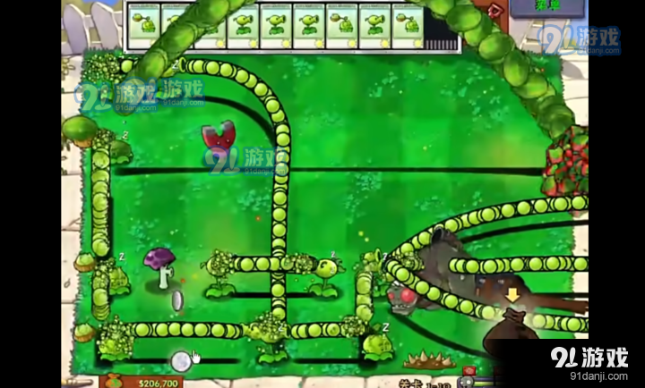 植物大战僵尸胆小菇之梦v1.6截图1