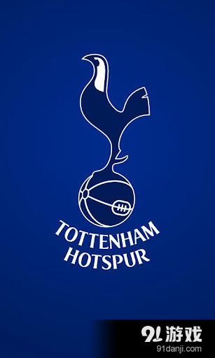 Tottenham Hotspurv4.3.8截图4