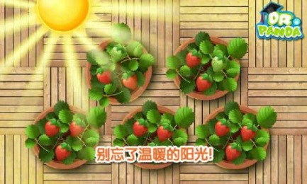 熊猫先生果蔬园v1.9截图3