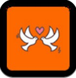 木头恋爱话术v2.3.6