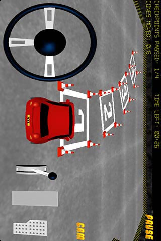 Precision Driving 3Dv3.11截图2