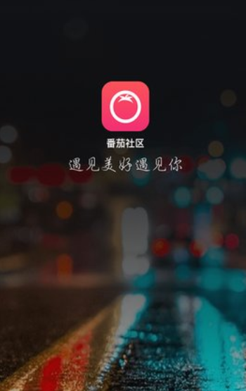 番茄聊天v1.3.3截图1