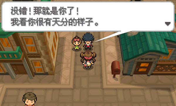 口袋妖怪白2汉化破解版v1.6截图3