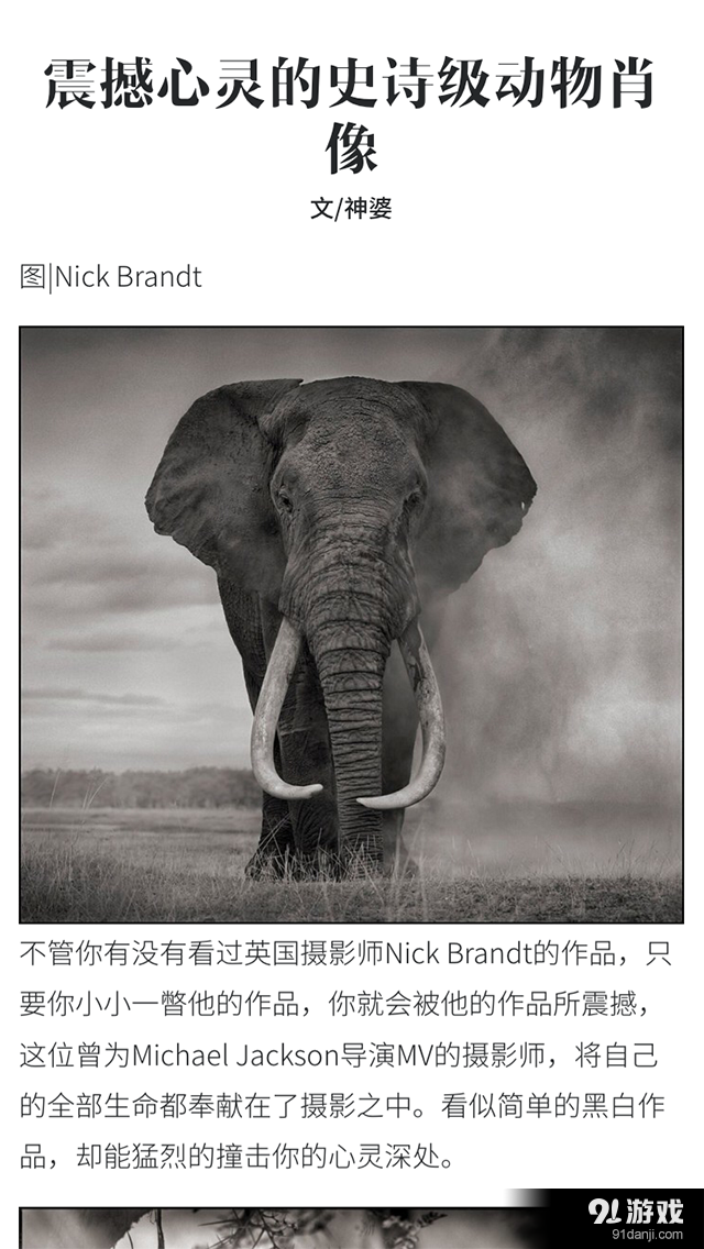 泛艺术v2.8.5截图1