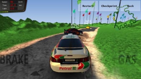 拉力冠军赛3v1.11截图4