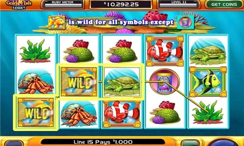 黄金鱼v6.7截图2