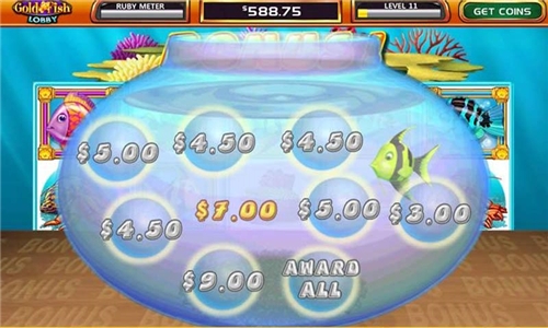 黄金鱼v6.7截图4