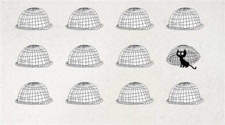 我的猫呢v2.4.14截图3