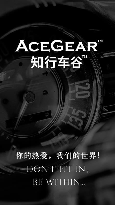 AceGearv2.9.8截图4