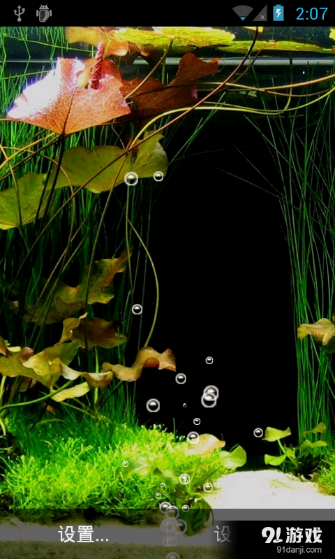 鱼缸里的鱼v2.12截图1