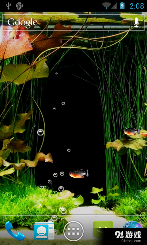 鱼缸里的鱼v2.12截图3