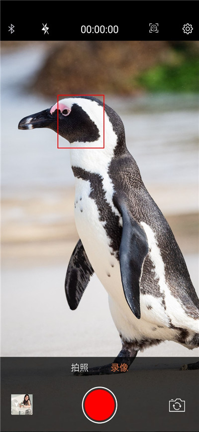 爱随拍v1.10截图3