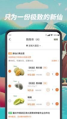新仙C果v1.10.13截图3