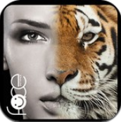 InstaFace变脸大咖v3.31