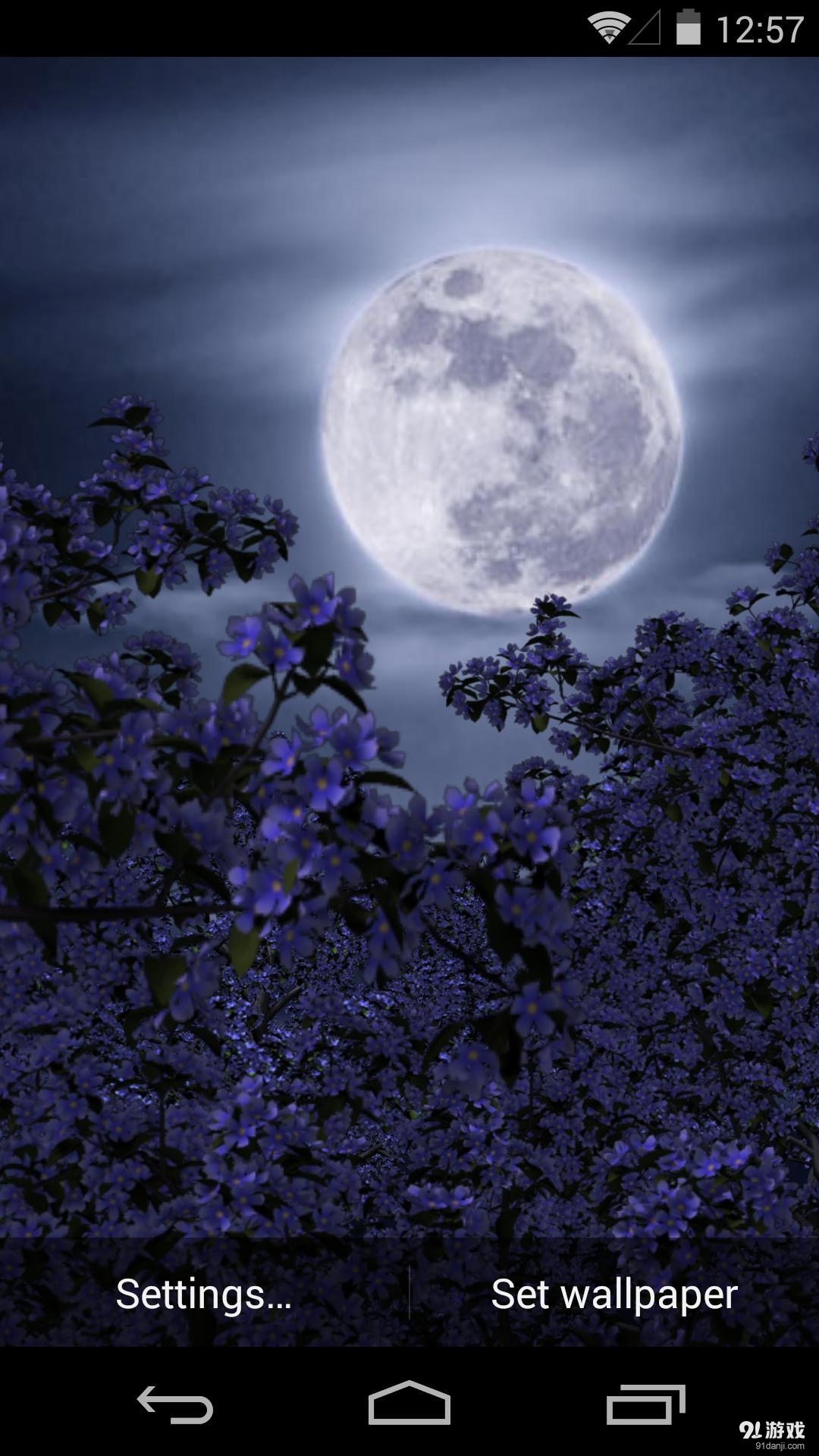 3D花月祭v1.5.13截图1