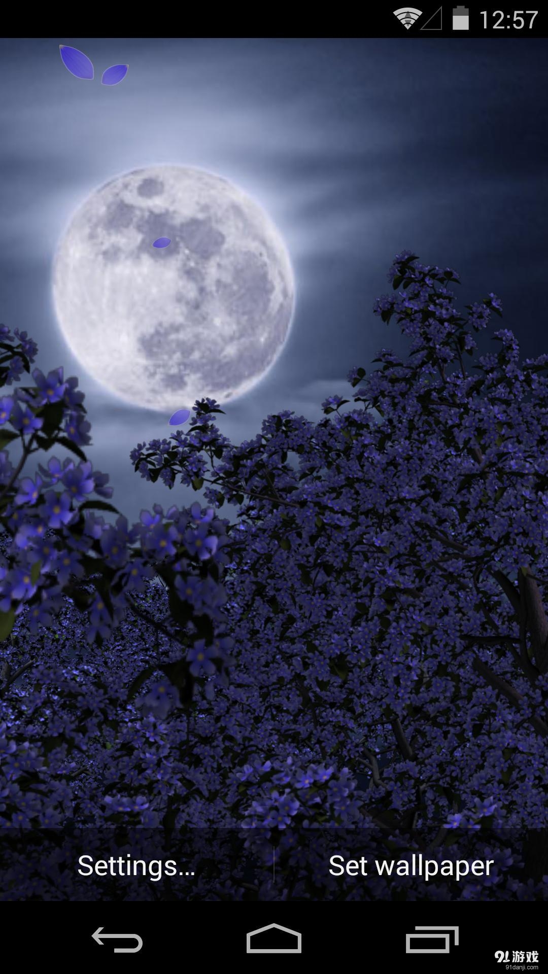 3D花月祭v1.5.13截图2