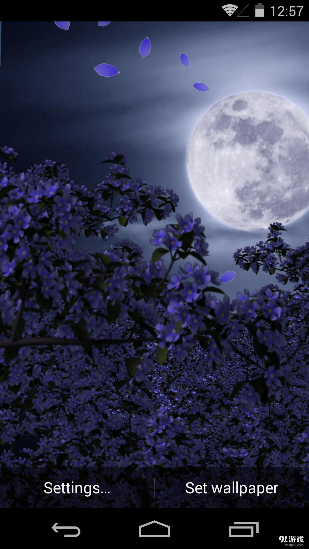 3D花月祭v1.5.13截图3