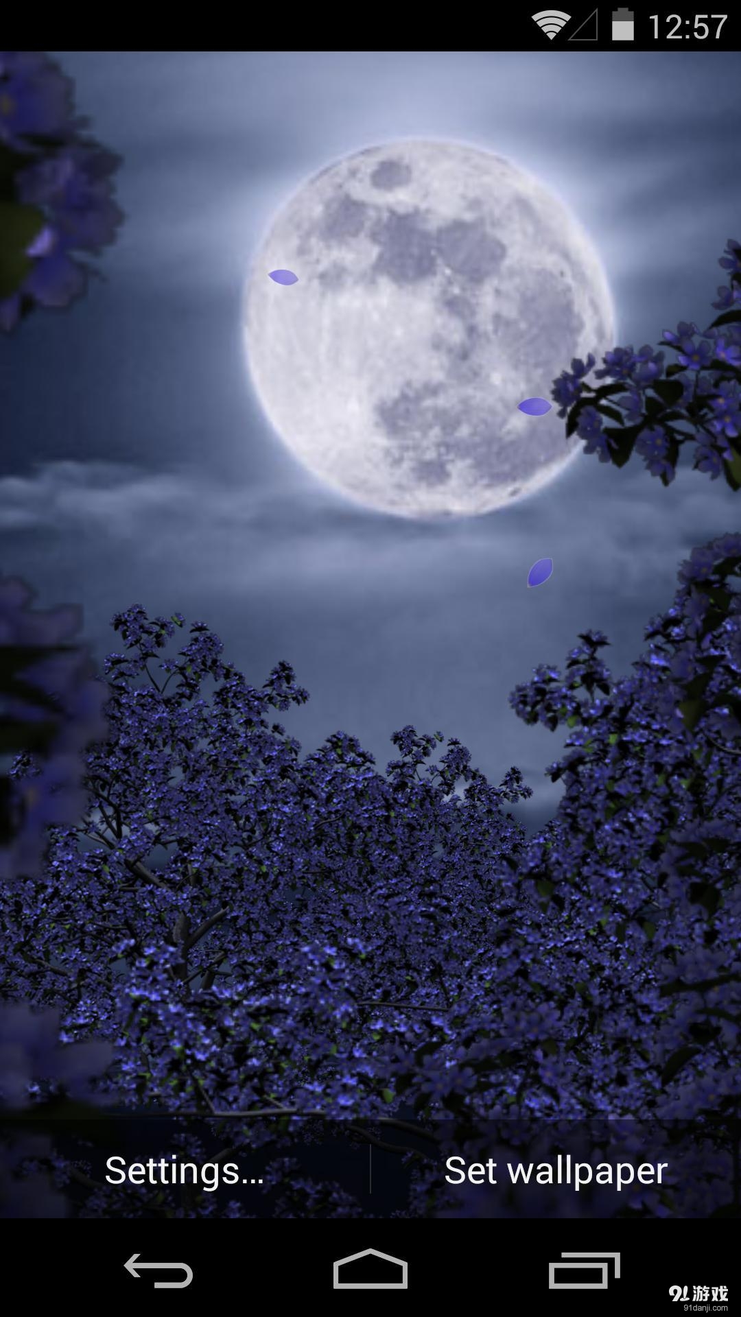 3D花月祭v1.5.13截图4