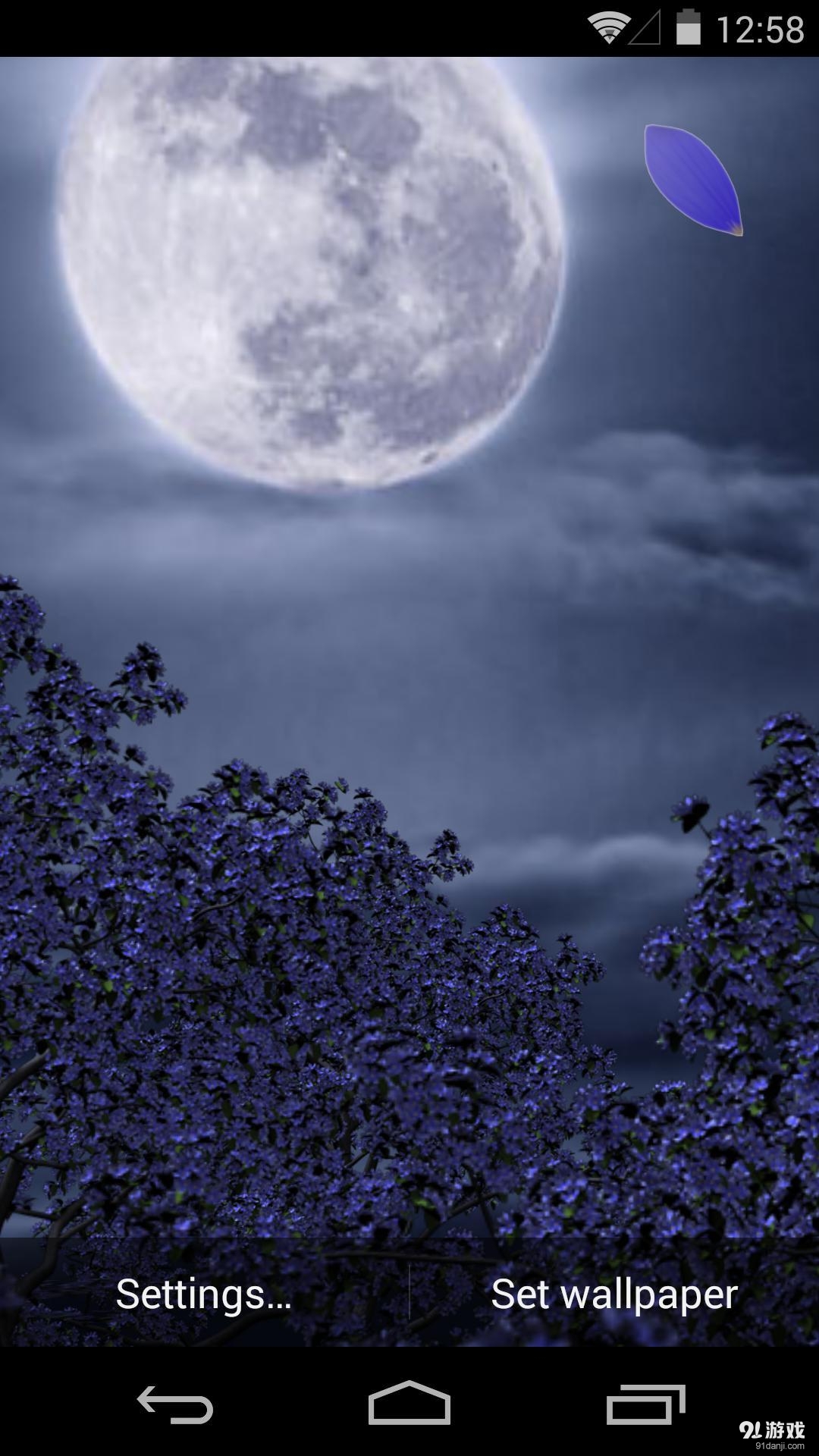 3D花月祭v1.5.13截图5