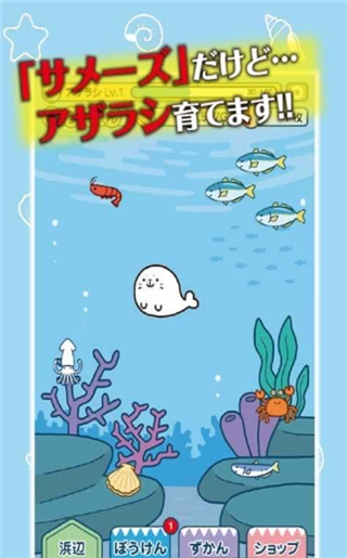 海豹养成v1.3.5截图2