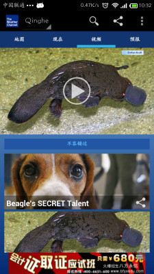 天气频道v6.4.3截图3