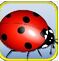 饥饿的瓢虫v1.6
