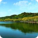 书包网阅读器v1.3.5