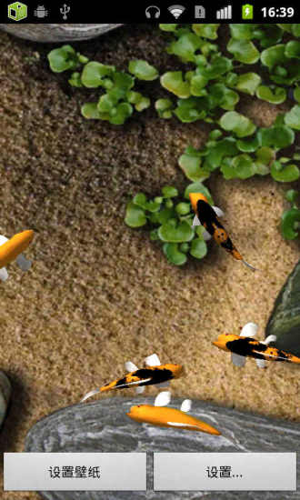 锦鲤动态壁纸v1.17截图1