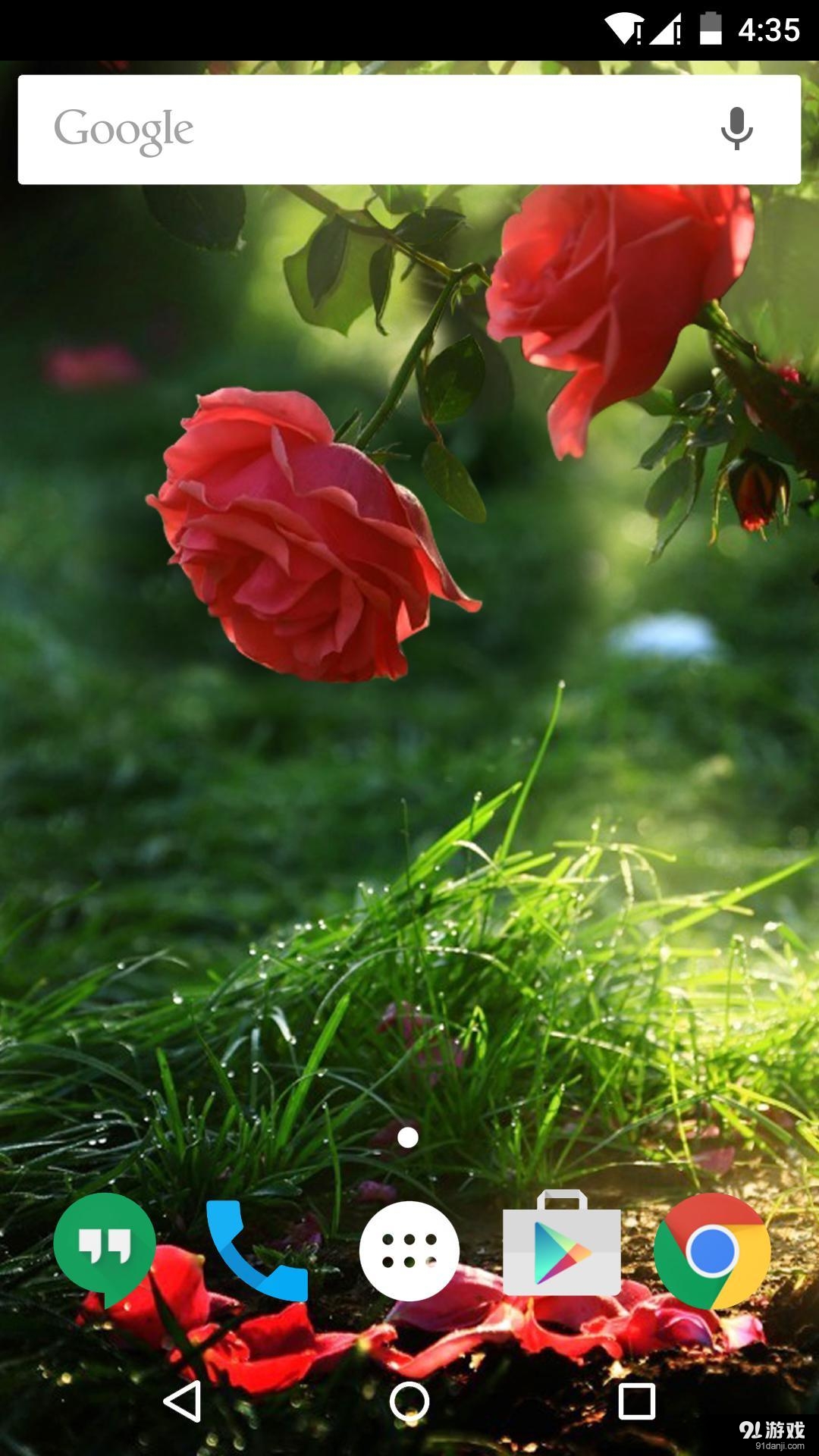 雨中玫瑰：梦象动态壁纸v1.6.6截图3