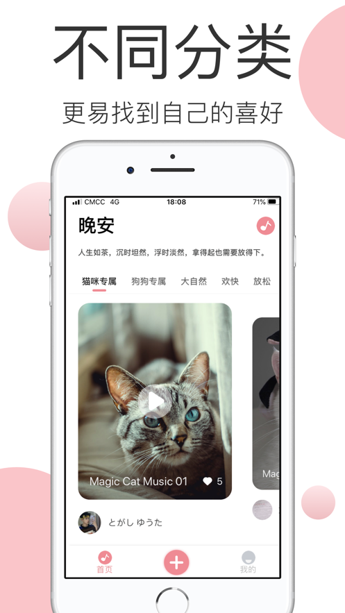 宠物音乐v1.7截图1