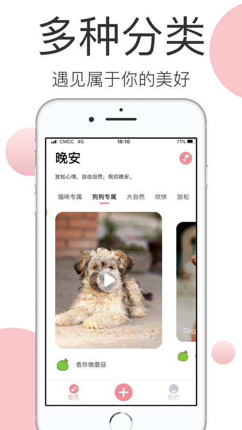 宠物音乐v1.7截图3