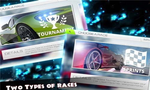 3D极限赛车传奇v2.14截图2